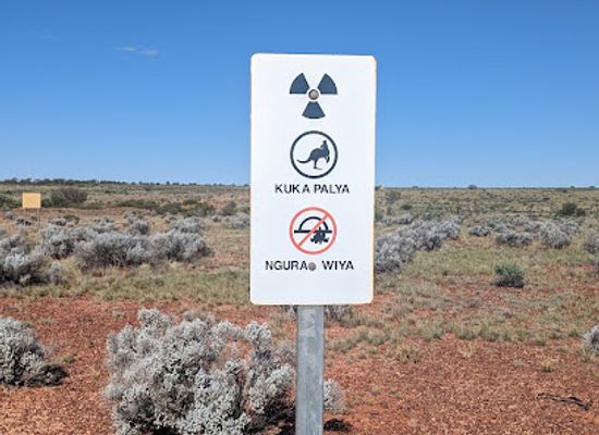 australia/outback/attraction/emu-field
