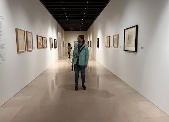 spain/malaga/attraction/museo-picasso-malaga
