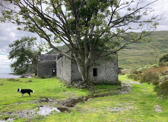 united-kingdom/isle-of-mull/attraction/glenbyre-farm
