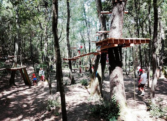 italy/maremma/attraction/il-tasso-scatenato-parco-avventura-di-maremma