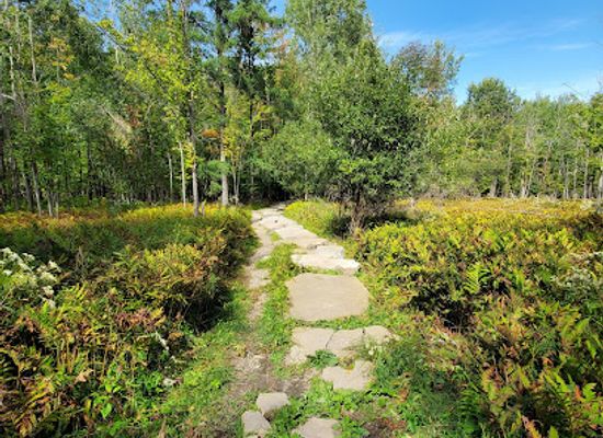 canada/eastern-townships/attraction/bois-beckett