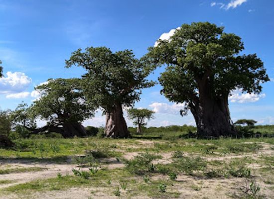namibia/zambezi/attraction/salambala-conservancy