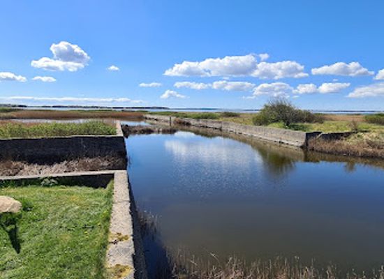 denmark/limfjord/attraction/gammel-havn