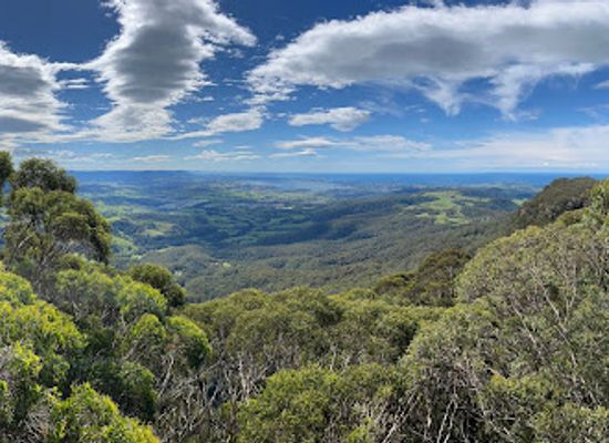 australia/southern-highlands/attraction/illawarra-fly-treetop-adventures