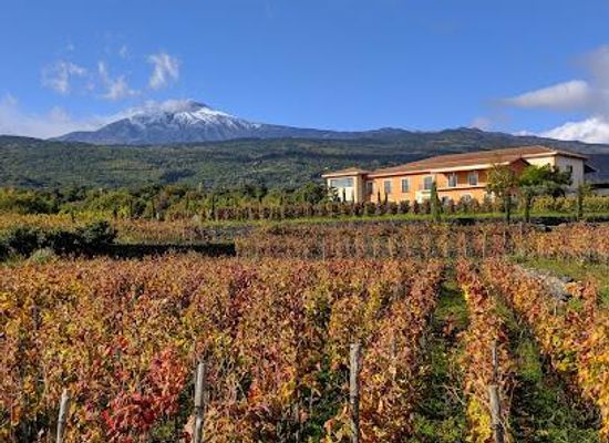 italy/sicily/attraction/etna-vivera-winery