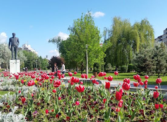 romania/baia-mare/attraction/mara-park
