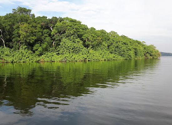 tanzania/lake-zone/attraction/rubondo-island-camp
