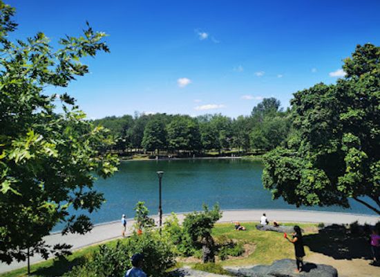 canada/monteregie/attraction/grand-staircase-of-mount-royal