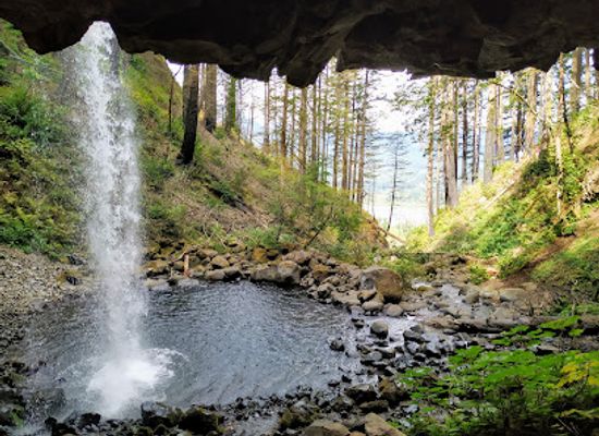 washington/columbia-river-gorge/attraction/ponytail-falls