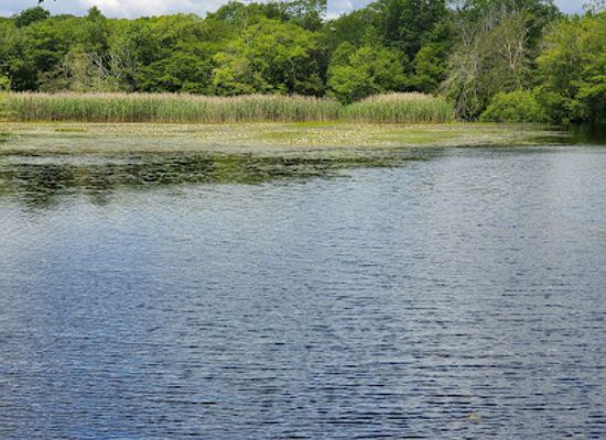 rhode-island/washington-county/attraction/grills-preserve