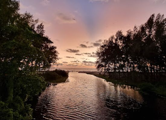 india/alleppey/attraction/a-beach