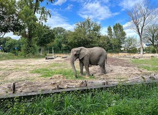 poland/warsaw/attraction/city-zoological-garden-in-warsaw