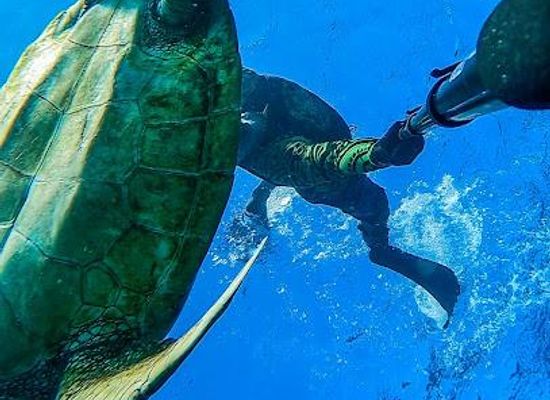 cook-islands/arorangi/attraction/ariki-adventures