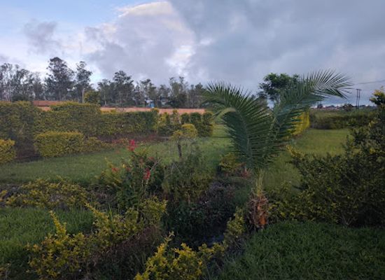 malawi/mzuzu/attraction/oledith-park