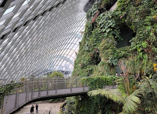 singapore/labrador-nature-reserve/attraction/cloud-forest