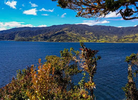 colombia/narino/attraction/santuario-de-flora-isla-de-la-corota