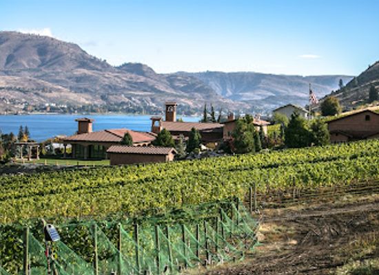 washington/lake-chelan/attraction/tsillan-cellars