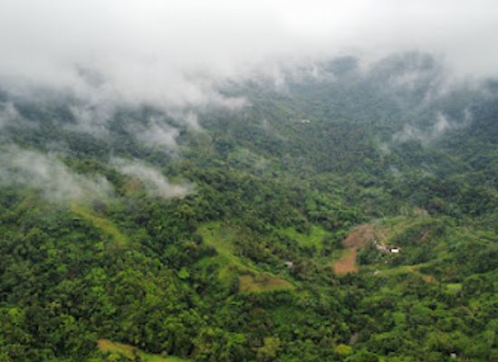 philippines/visayas/attraction/viewing-road-side-near-beeranda-coffee
