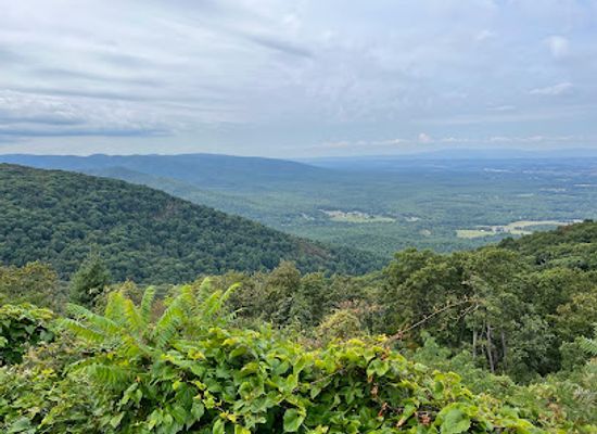 virginia/shenandoah-valley/attraction/blue-ridge-parkway-route-56-access-point