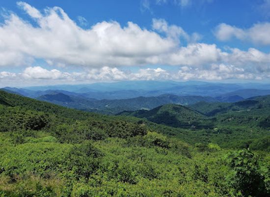 tennessee/appalachian-mountains/attraction/carvers-gap
