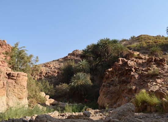 jordan/eastern-highlands/attraction/dead-sea