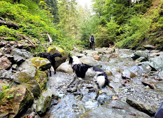 austria/kaiser-mountains/attraction/wasserfall