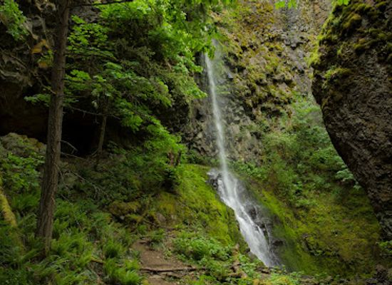 washington/columbia-river-gorge/attraction/cabin-creek-falls