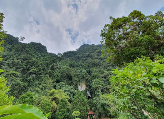 malaysia/southern-region/attraction/gua-tempurung