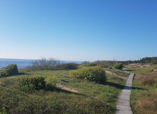 lithuania/nida-beach/attraction/melnrage-beach