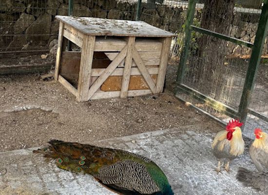cyprus/kyrenia-district/attraction/peace-park