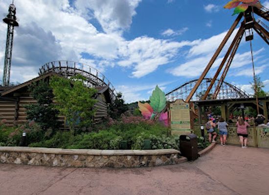 tennessee/dollywood/attraction/wildwood-grove