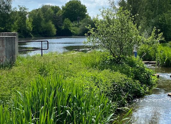 netherlands/sallandse-heuvelrug-national-park/attraction/stuw-en-vistrap-midden-regge