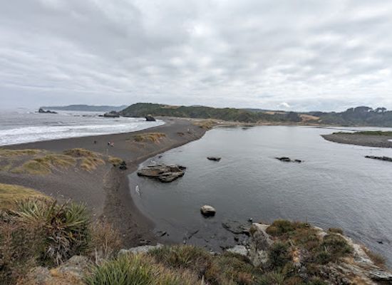 chile/biobio-region/attraction/nature-sanctuary-peninsula-of-hualpen