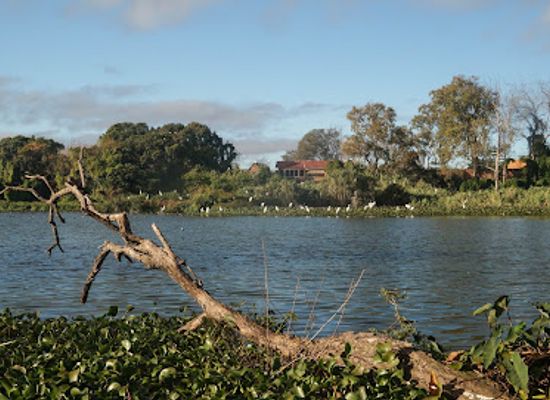 madagascar/atsimo-andrefana/attraction/tsarasaotra-park