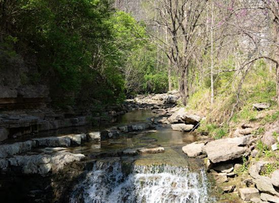kentucky/frankfort/attraction/cove-spring-park