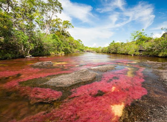 colombia/cano-cristales/attraction/waterfall-the-piano