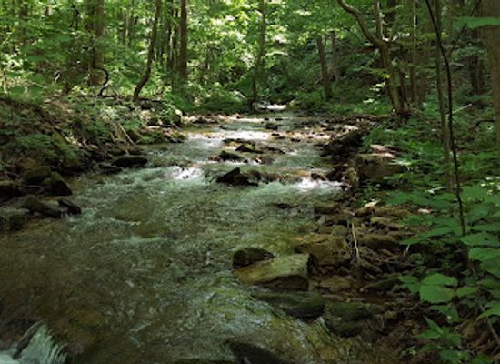 pennsylvania/laurel-highlands/attraction/roaring-run-natural-area