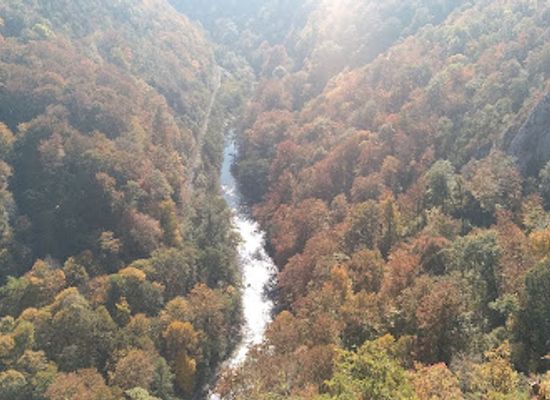 romania/bihor/attraction/pestera-caprei