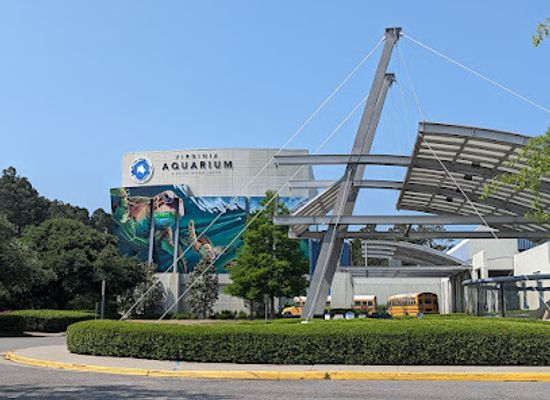 virginia/northern-neck/attraction/virginia-aquarium-marine-science-center
