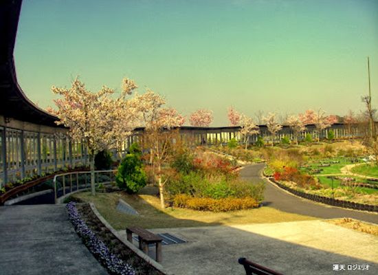 japan/izumo/attraction/shimane-hana-no-sato-botanical-garden
