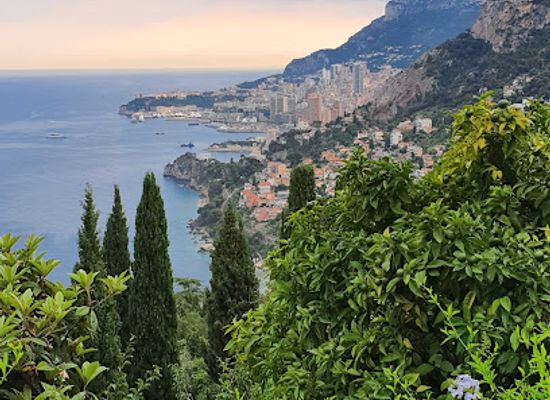 monaco/jardin-exotique/attraction/rue-pie