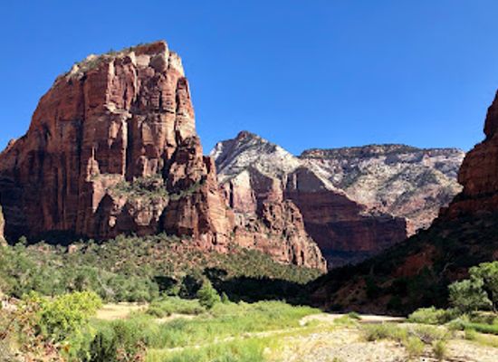 utah/zion-national-park/attraction/riverside-walk-trailhead