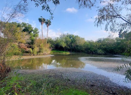 texas/rio-grande-valley/attraction/frontera-audubon-society