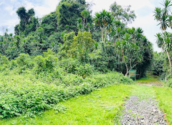 rwanda/northern-province/attraction/buhanga-eco-park