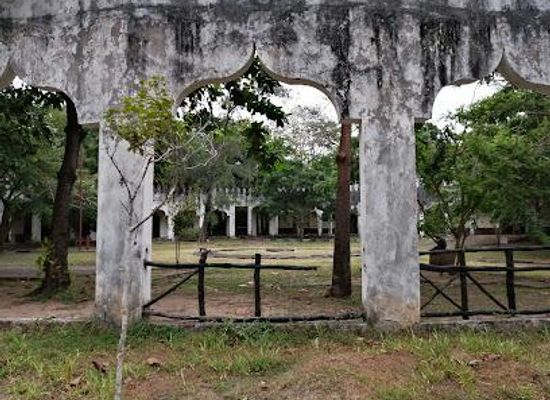 kenya/malindi/attraction/gedi-ruins-malindi-snake-park
