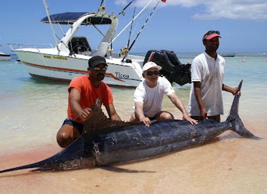 mauritius/tamarin/attraction/ticou-ticou-big-game-fishing-dolphin-swimming-snorkeling