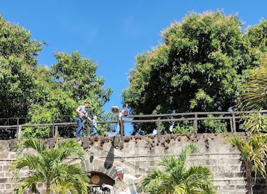 nicaragua/rivas/attraction/museum-of-traditions-and-legends