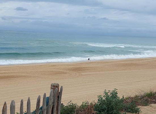 france/aquitaine-coast/attraction/plage-labenne-ocean