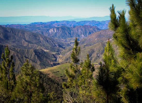 dominican-republic/cordillera-central/attraction/guias-de-alturas-pico-duarte-guides