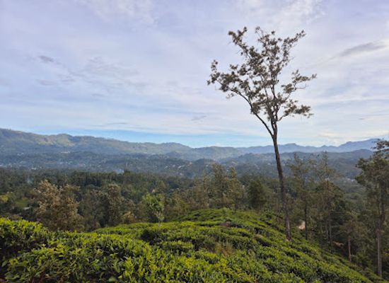 sri-lanka/uva-province/attraction/bostock-s-chair